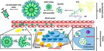 Current State-of-the-Art and New Trends in Self-Assembled Nanocarriers as Drug Delivery Systems